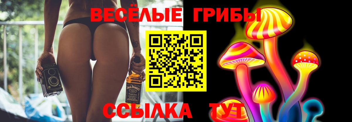 Ахтубинск  Галлюциногенные грибы Cubensis  Вход с VPN 